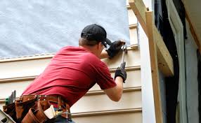 Best Custom Siding Design  in Elmendorf, TX